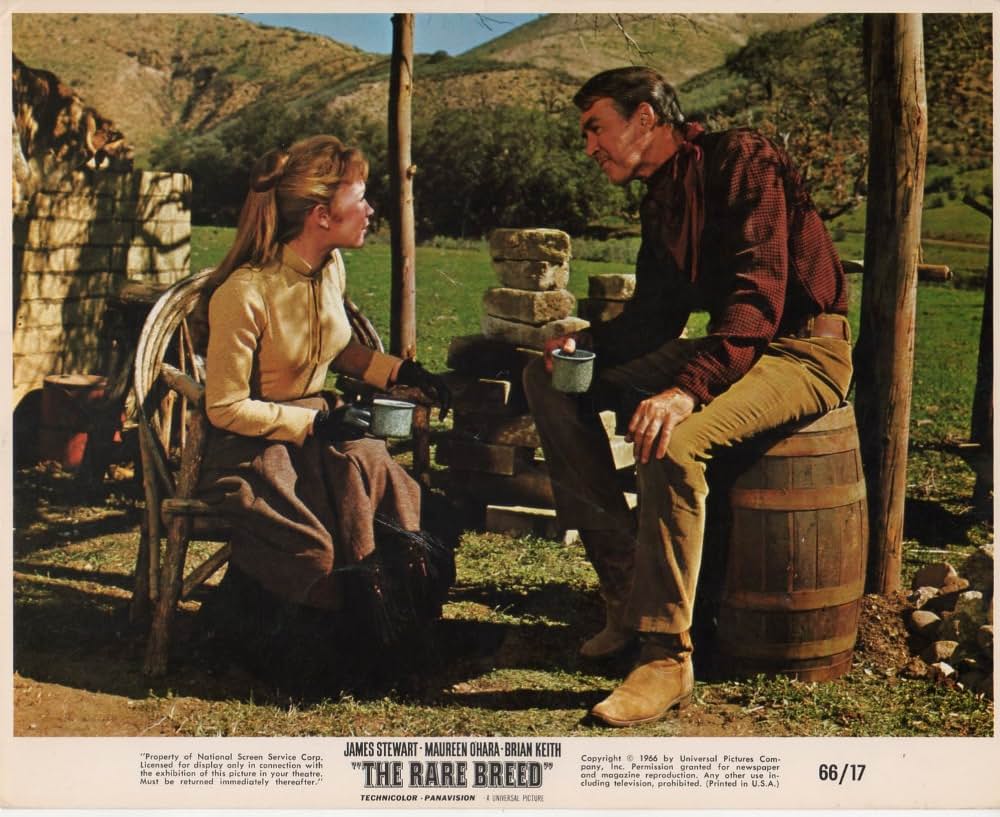 スタンピードの画像