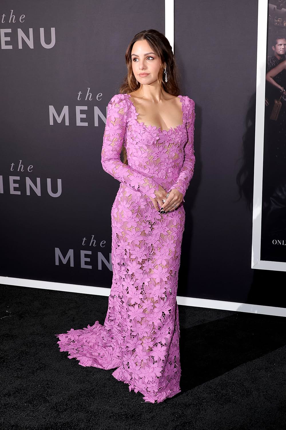 ザ・メニューの画像