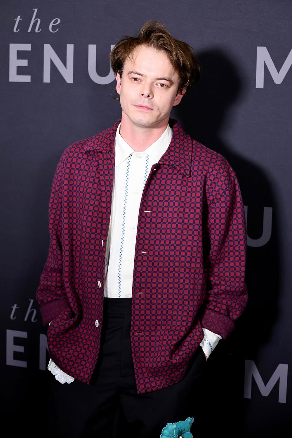 ザ・メニューの画像