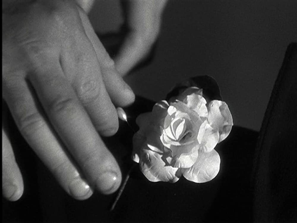 特急二十世紀の画像