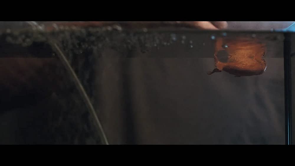 オーディナリー・ラブ ありふれた愛の物語の画像