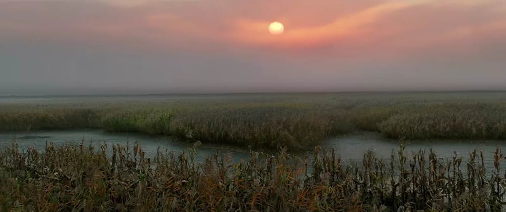 レイルロード・タイガーの画像