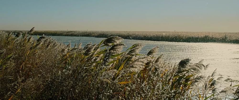 レイルロード・タイガーの画像