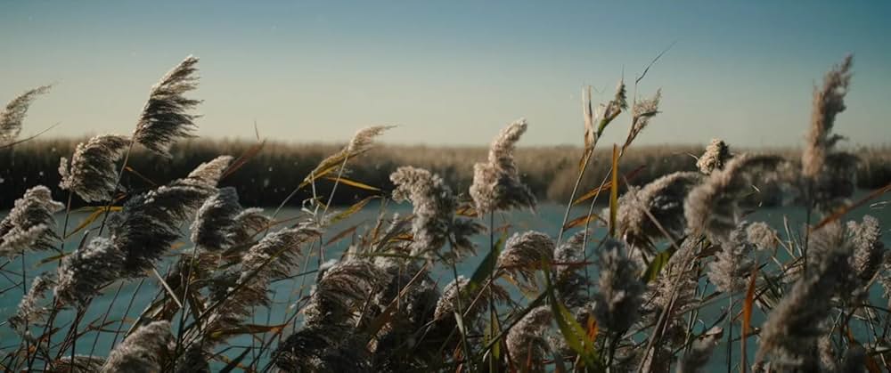 レイルロード・タイガーの画像