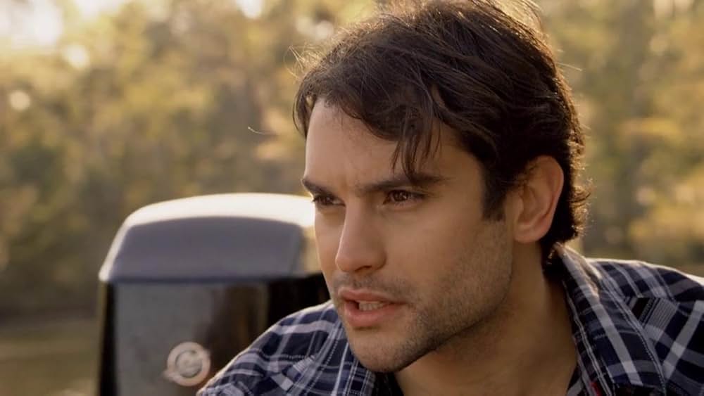 新アリゲーター 新種襲来の画像