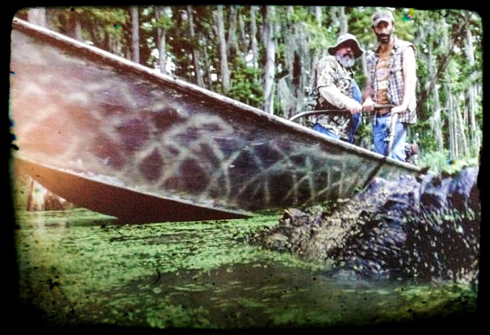 新アリゲーター 新種襲来の画像