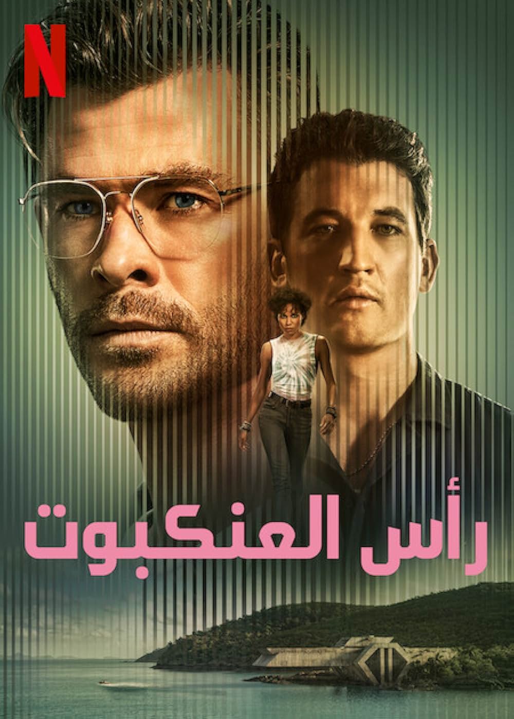 スパイダーヘッドの画像