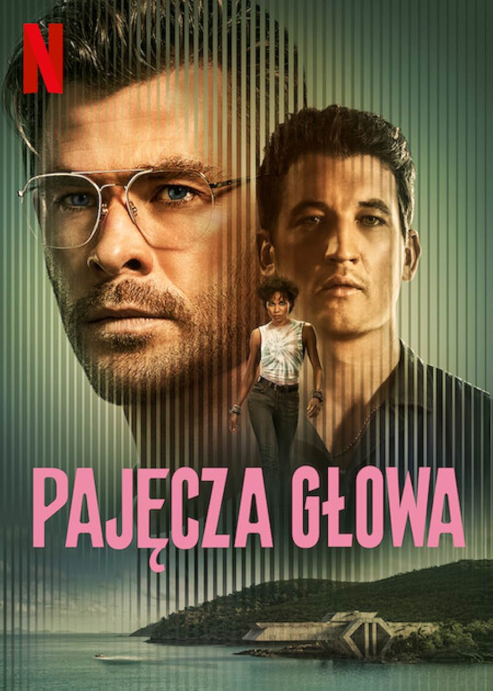 スパイダーヘッドの画像