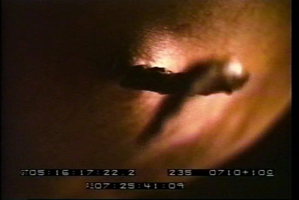 スピーシーズ2の画像