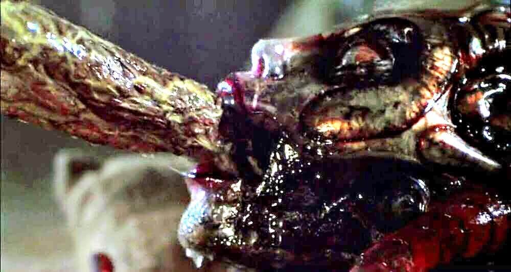 スピーシーズ2の画像