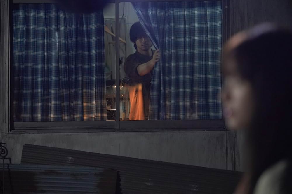 夜、鳥たちが啼くの画像