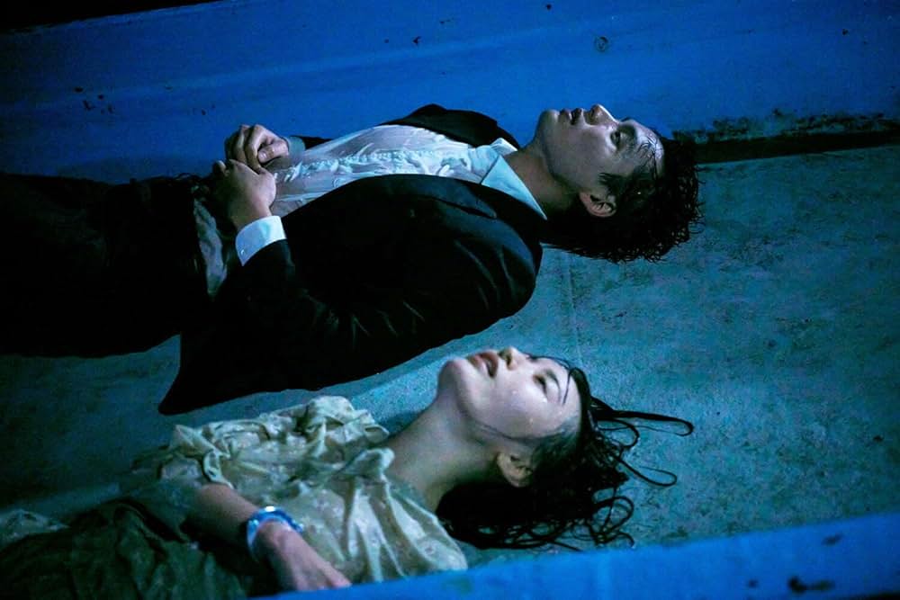 夜、鳥たちが啼くの画像