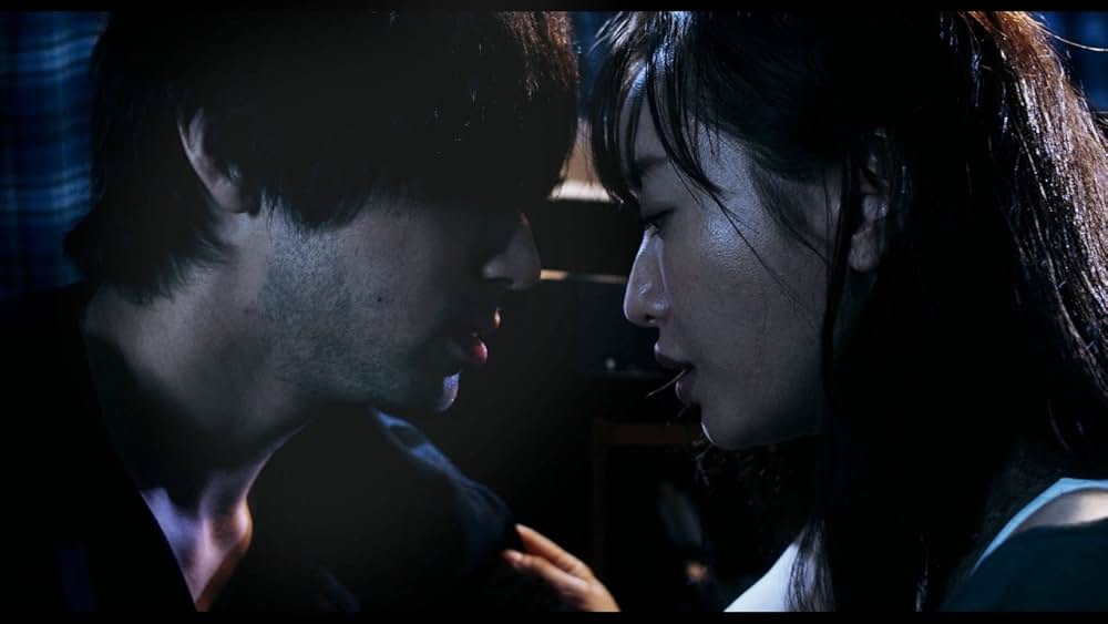 夜、鳥たちが啼くの画像