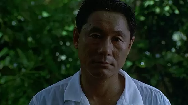 ソナチネの画像