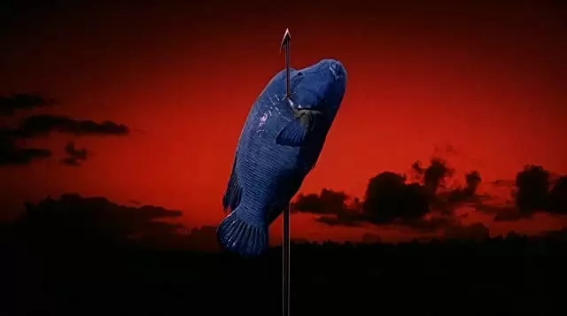 ソナチネの画像