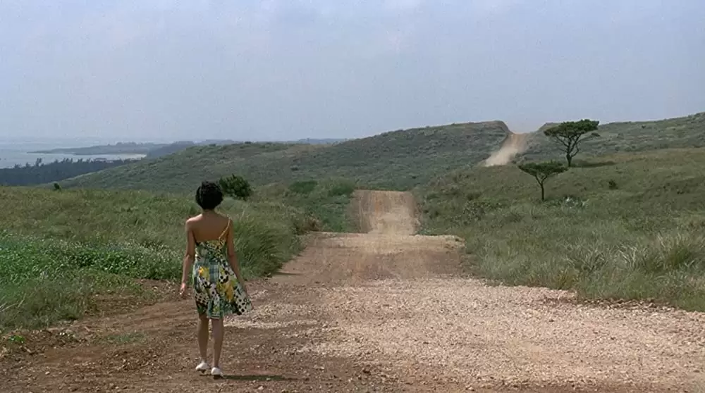 ソナチネの画像