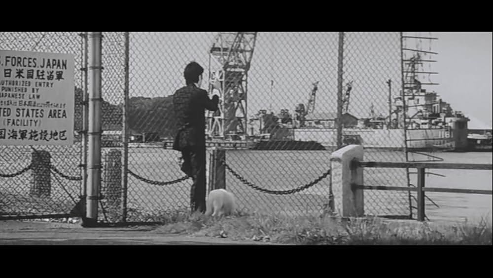 裸の十九才の画像