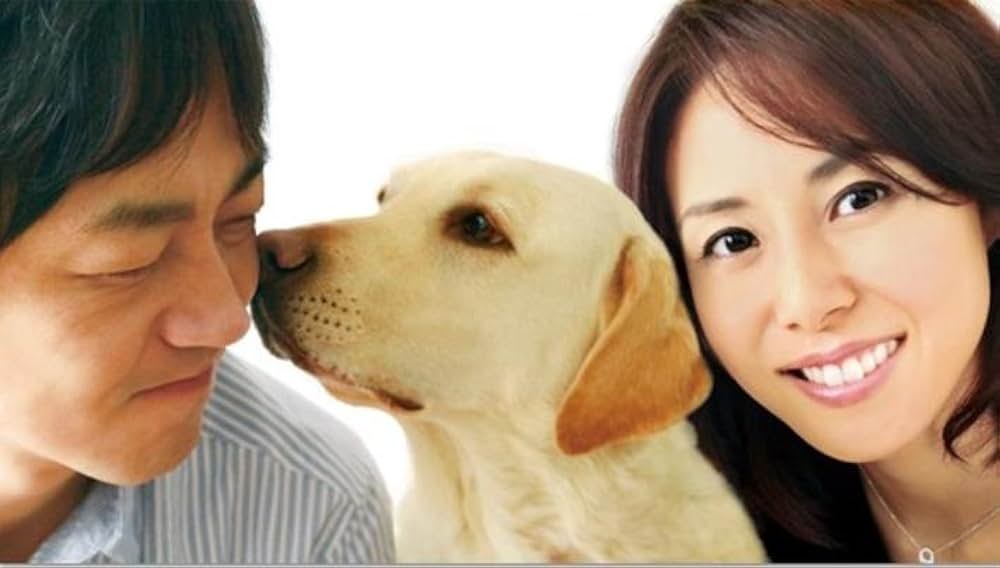 犬とあなたの物語 いぬのえいがの画像