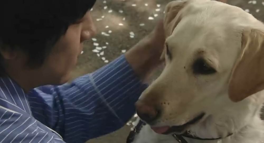 「犬とあなたの物語 いぬのえいが」の画像