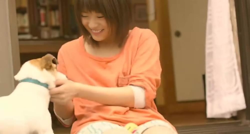 犬とあなたの物語 いぬのえいがの画像