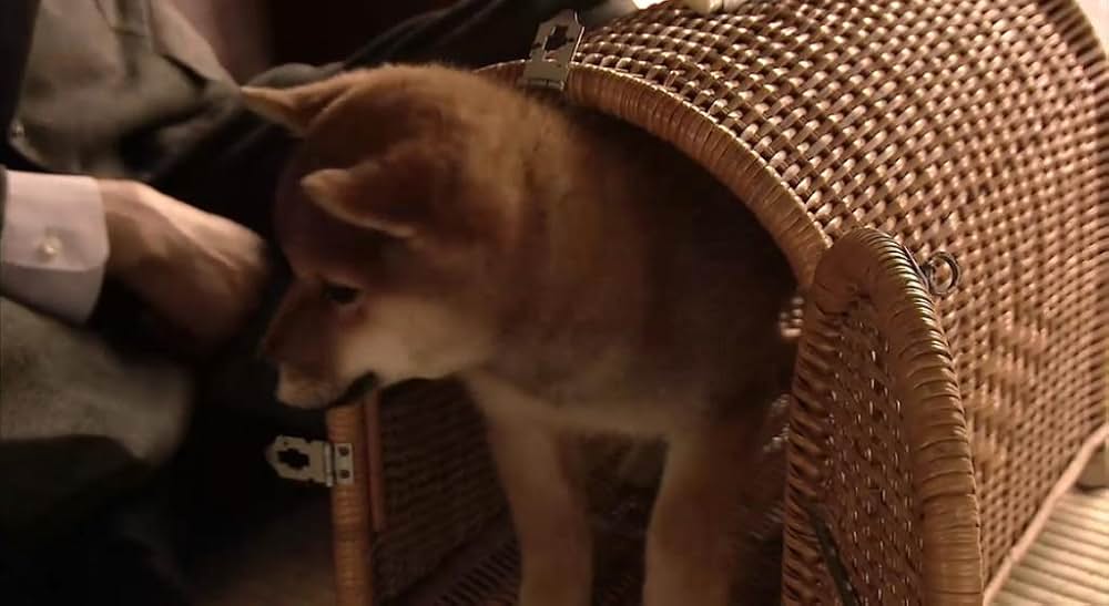 犬とあなたの物語 いぬのえいがの画像