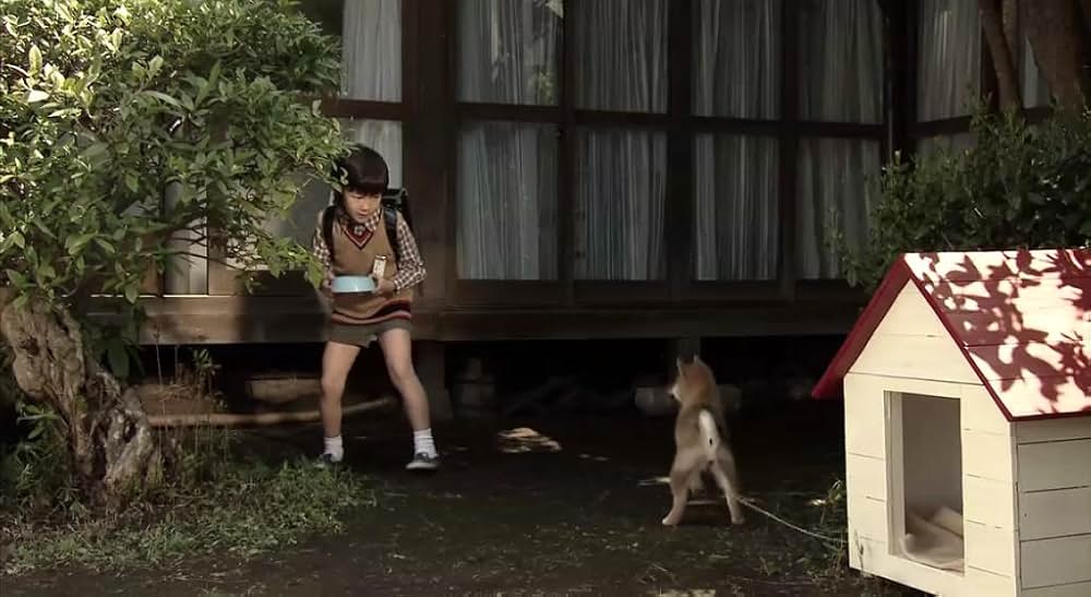 犬とあなたの物語 いぬのえいがの画像