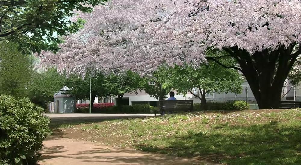 犬とあなたの物語 いぬのえいがの画像