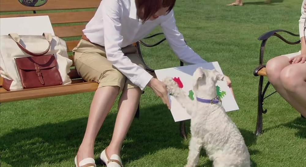 「犬とあなたの物語 いぬのえいが」の画像