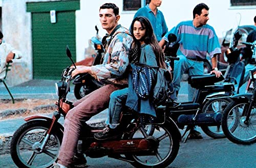 かぼちゃ大王の画像