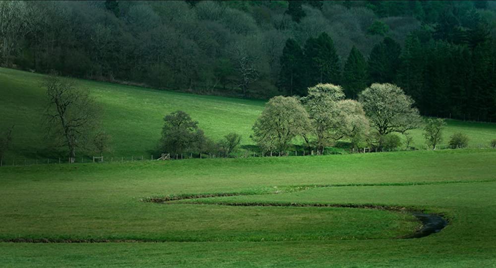 MEN 同じ顔の男たちの画像