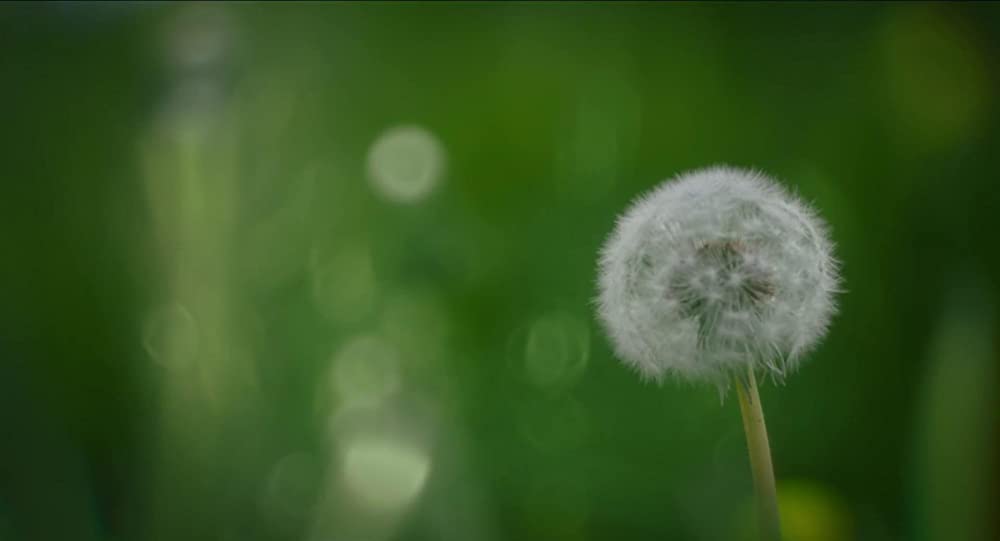 MEN 同じ顔の男たちの画像