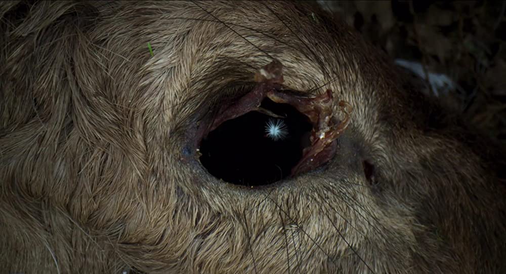 MEN 同じ顔の男たちの画像