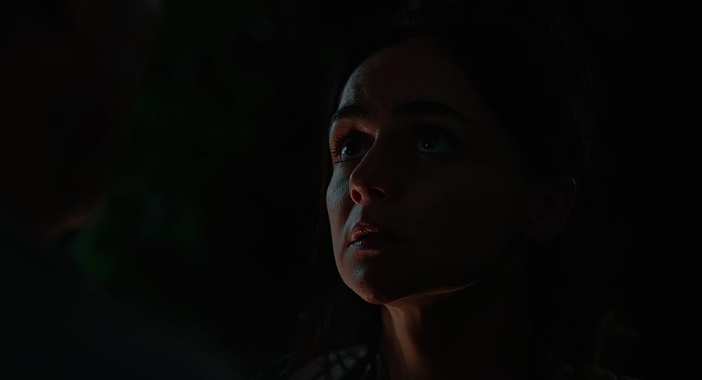 ディサポイントメント・ブールバード（原題）の画像