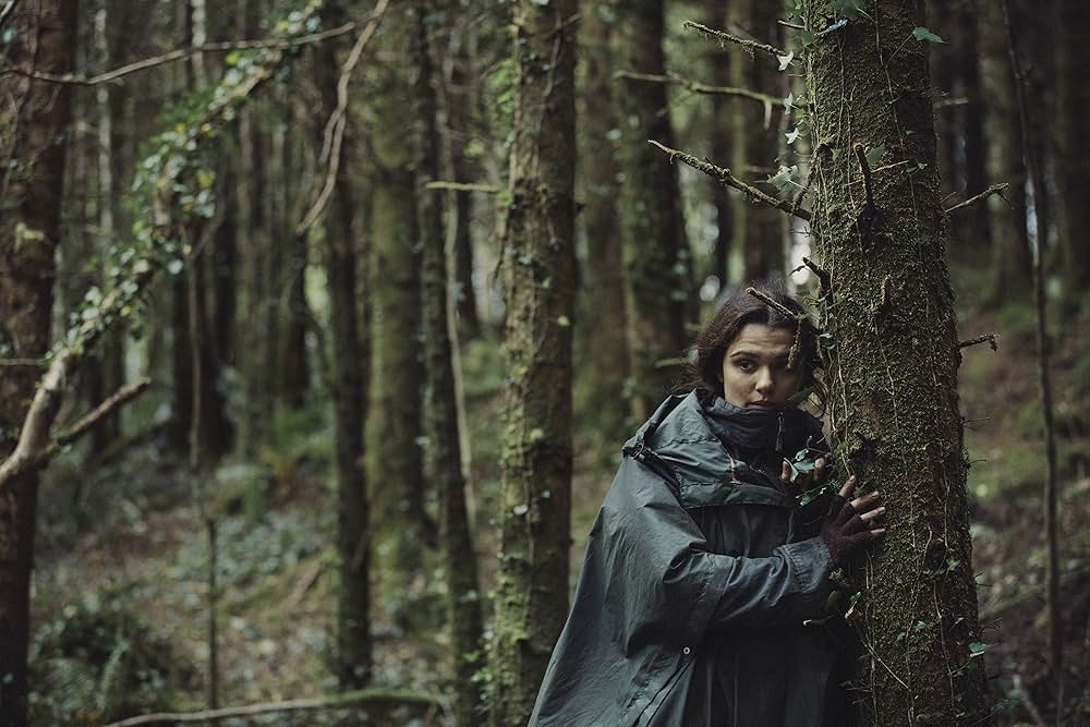 ロブスターの画像