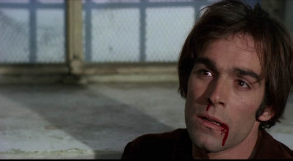 非情の標的の画像