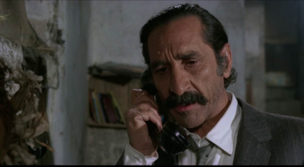 非情の標的の画像