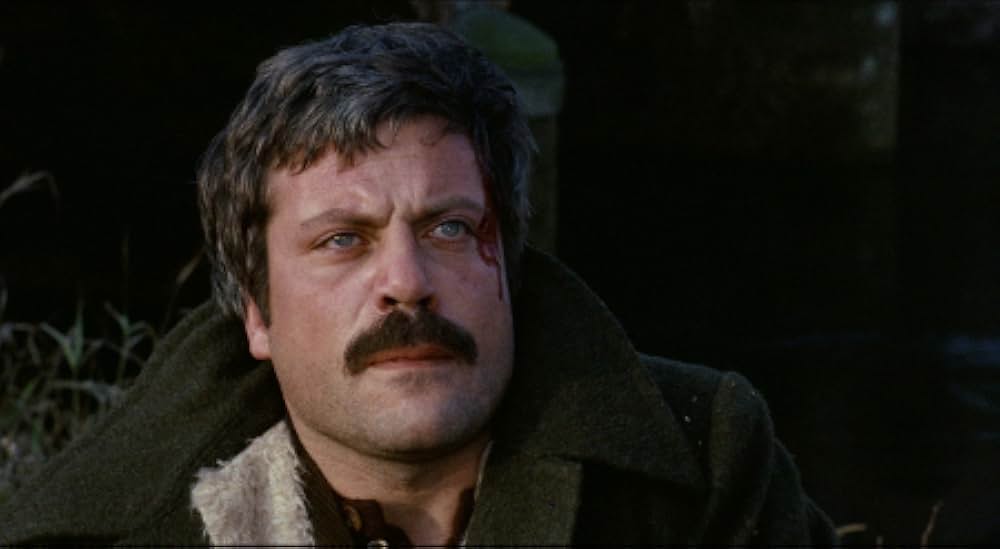 非情の標的の画像