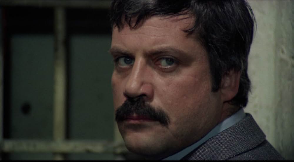 非情の標的の画像