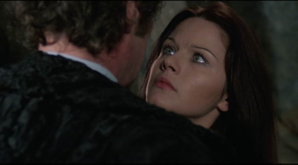 非情の標的の画像