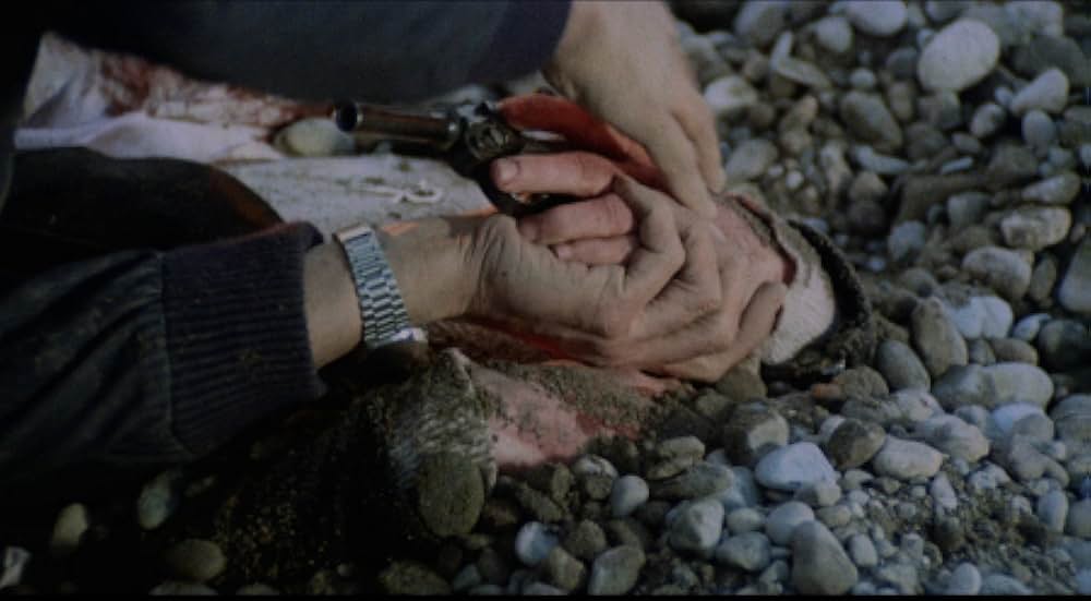 非情の標的の画像