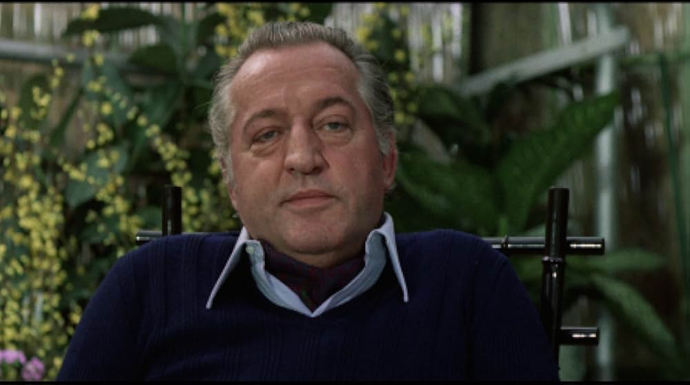 非情の標的の画像