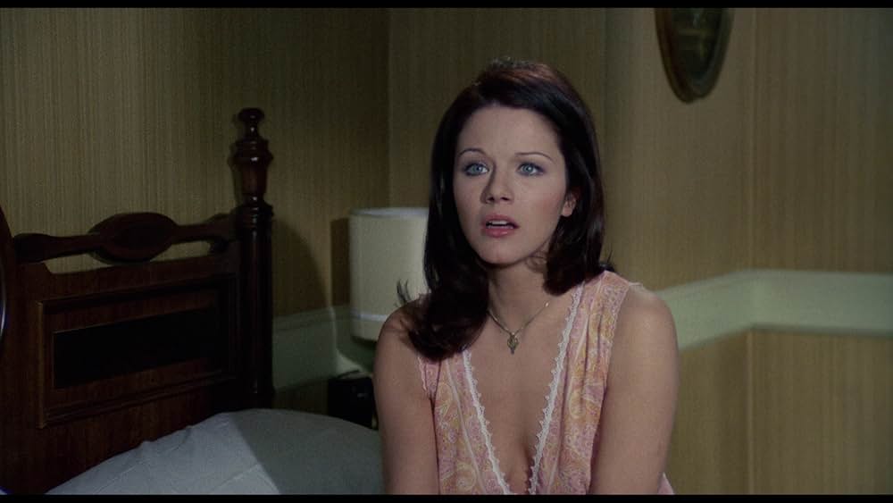 非情の標的の画像