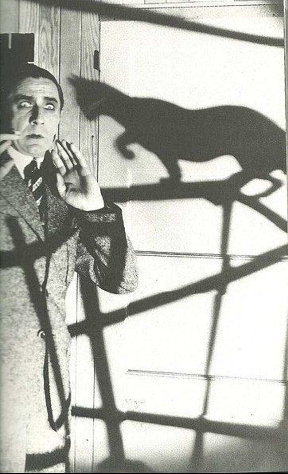 「黒猫」ベラ・ルゴシの画像