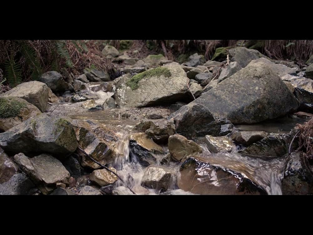 ノー・エスケープの画像