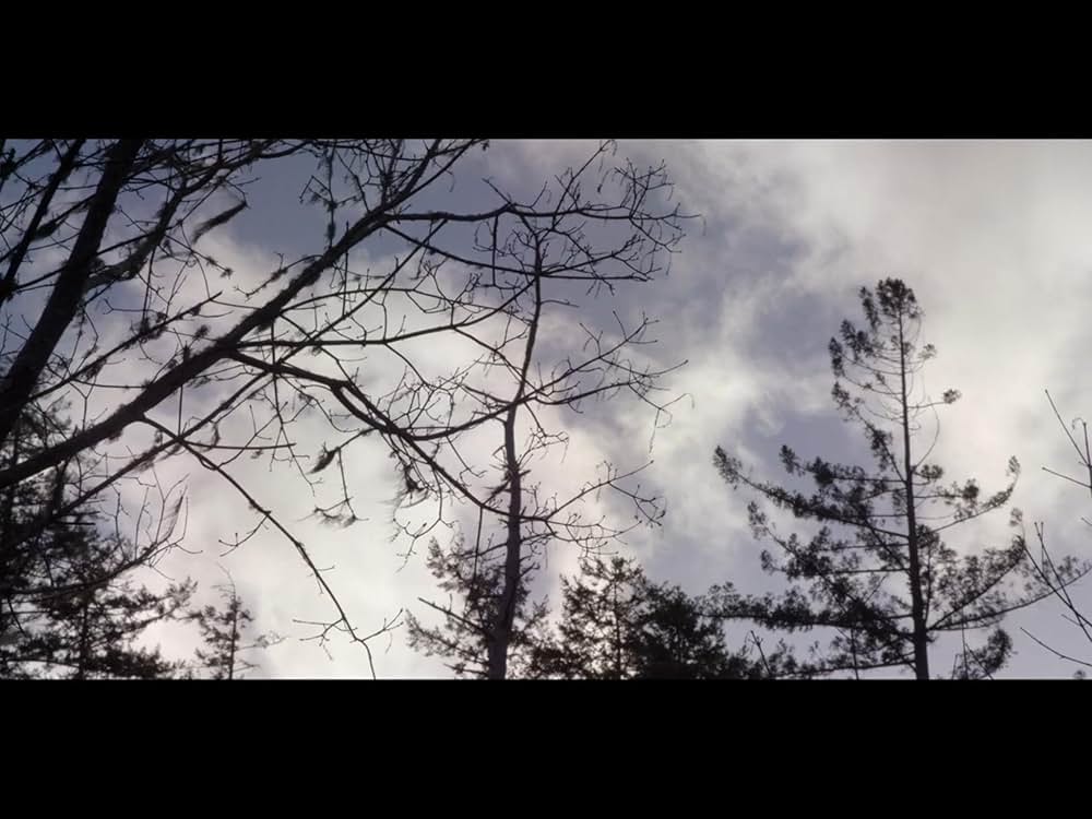 ノー・エスケープの画像