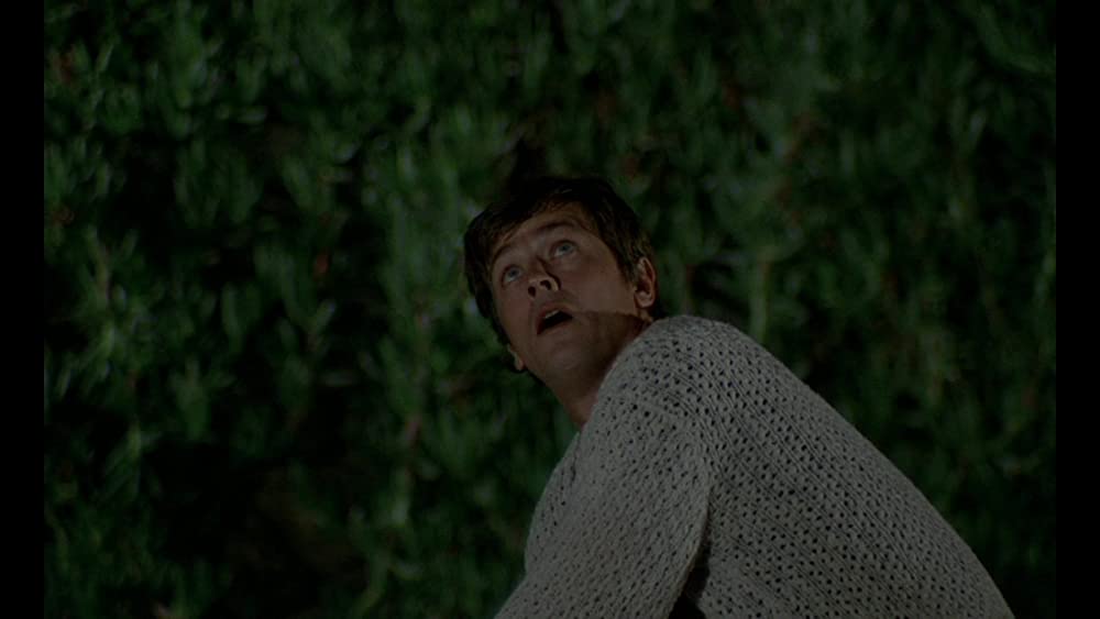 「太陽が知っている」アラン・ドロンの画像