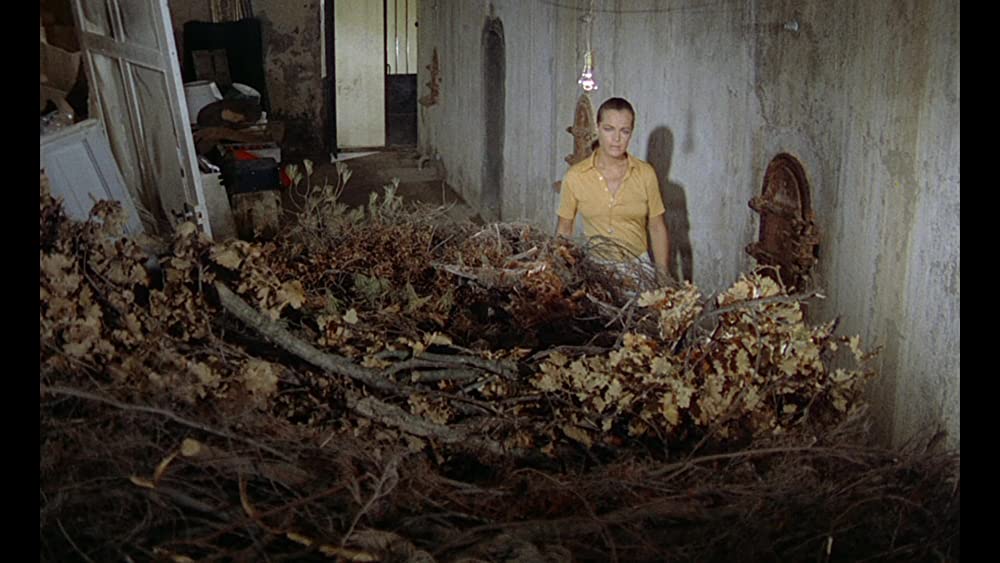 「太陽が知っている」ロミー・シュナイダーの画像