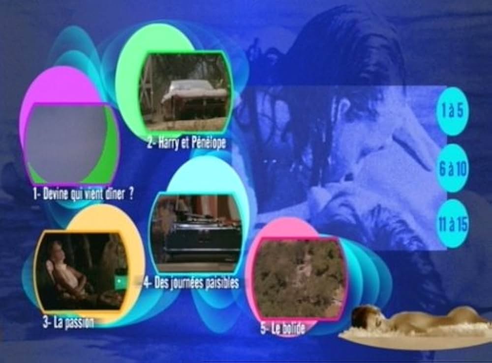 「太陽が知っている」の画像