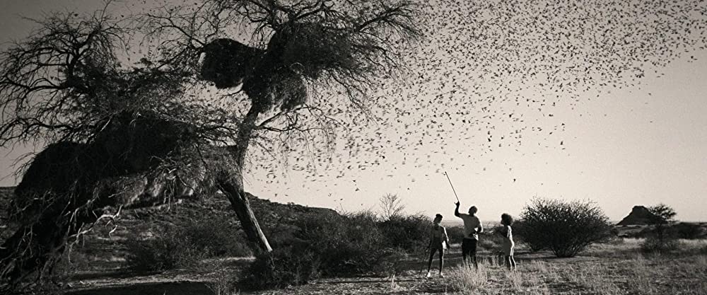 「ビースト」イドリス・エルバ & Iyana Halley & リア・ジェフリーズの画像