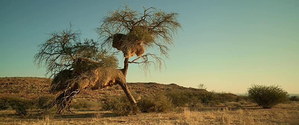 ビーストの画像